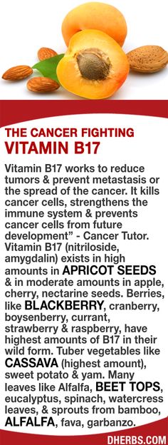 Merawat penyakit dan mencegah penyakit dengan biji aprikot Vitamin B17.